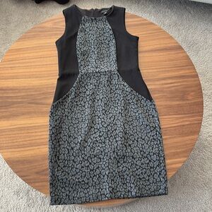 Ann Taylor cotton animal print dress